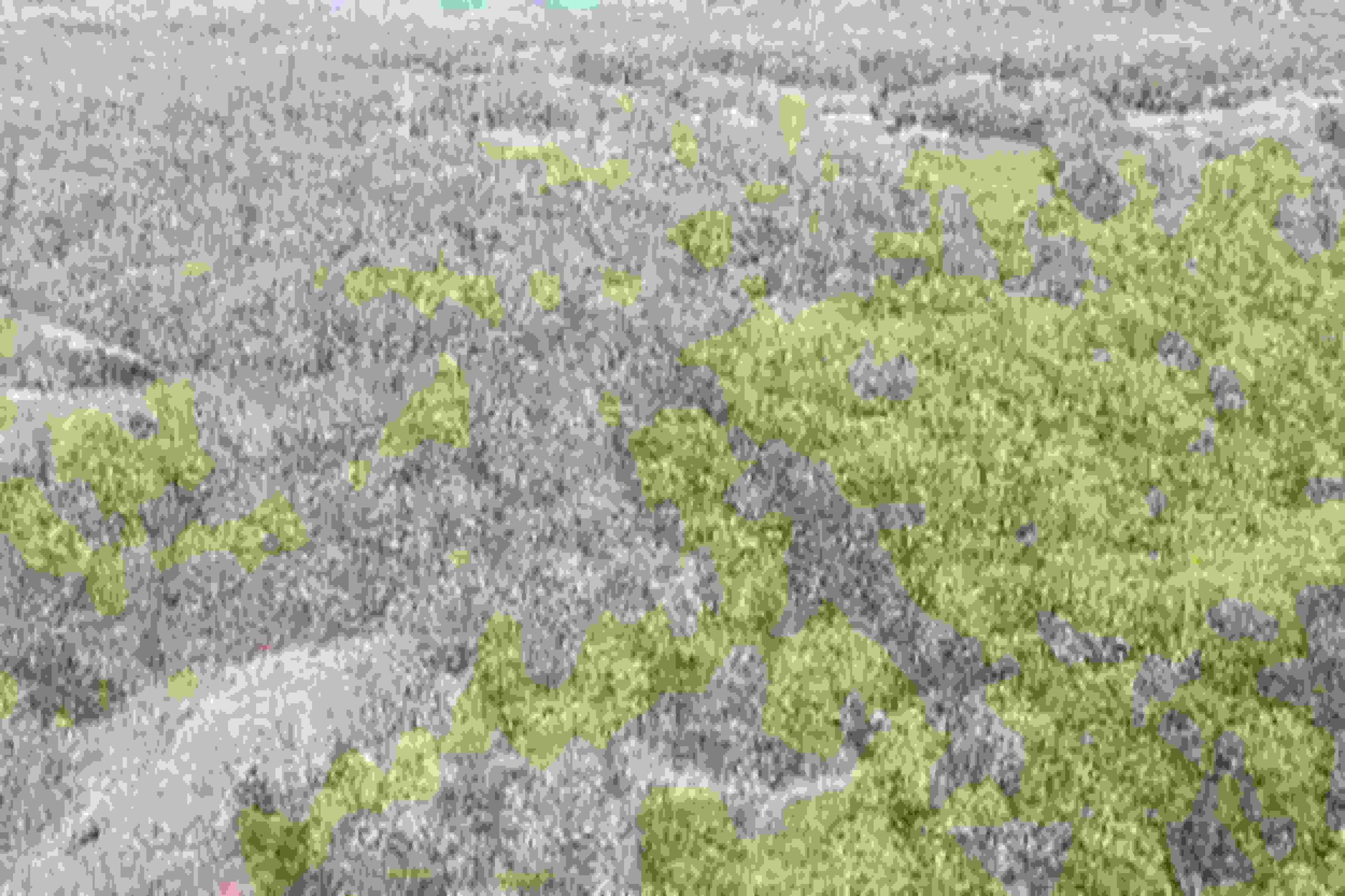 Big Bluff View, Pikeville, Tennessee image 5