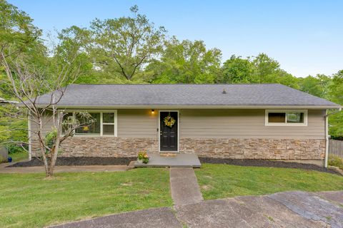 Photo of 3616 Thrushwood Drive, Chattanooga, TN 37415 (MLS # 1533446)