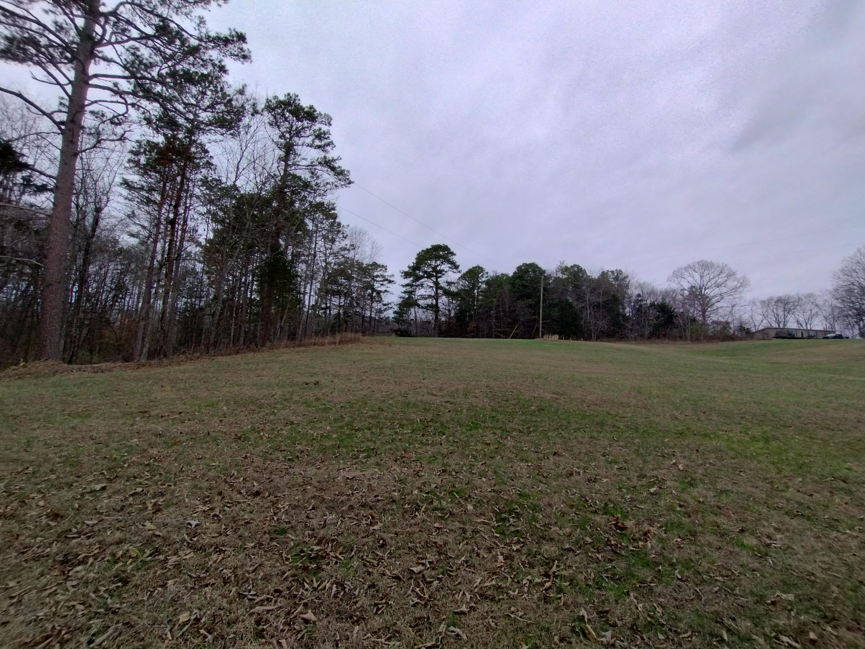 Bettis Road, Birchwood, Tennessee image 2