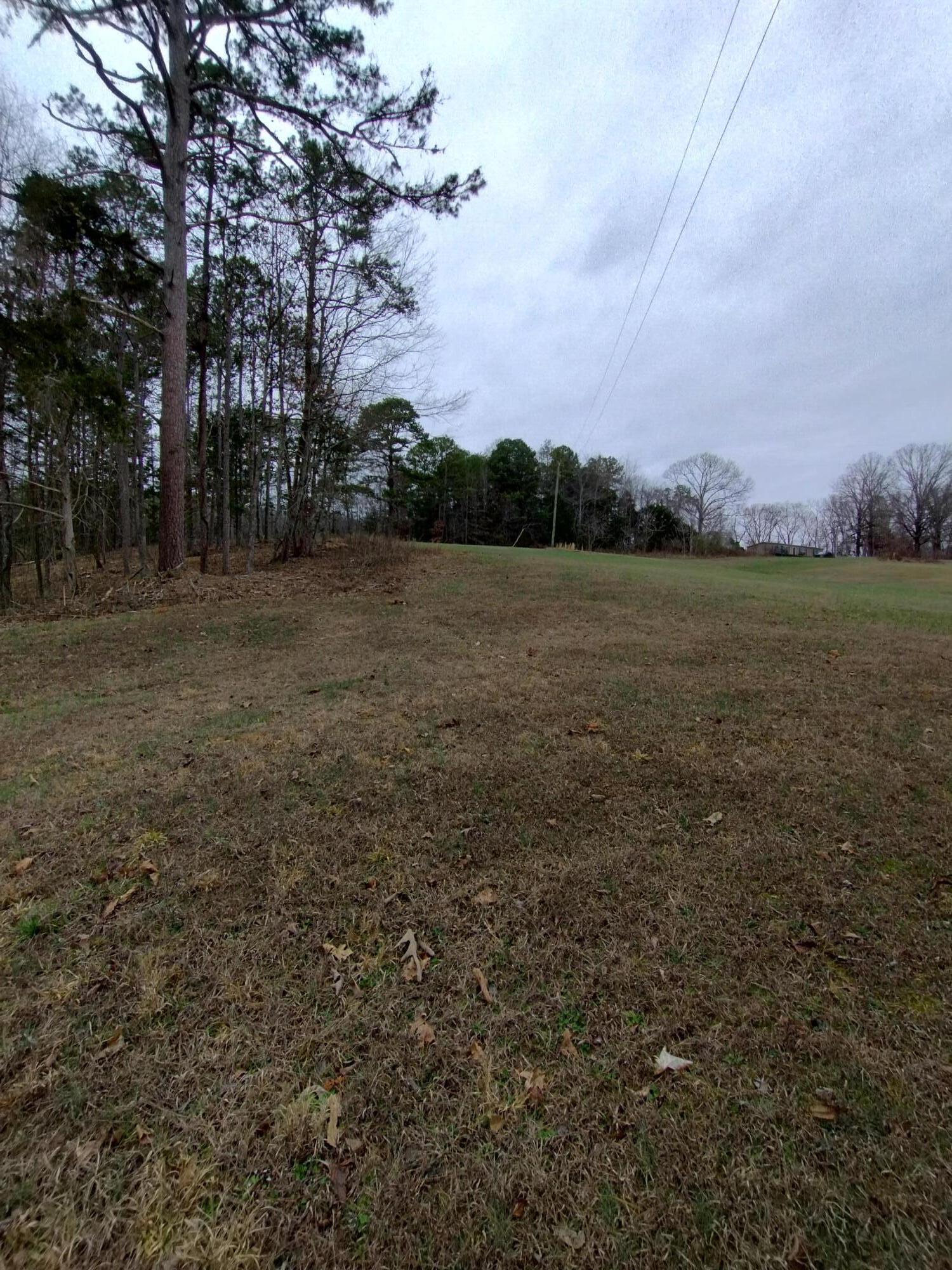 Bettis Road, Birchwood, Tennessee image 3