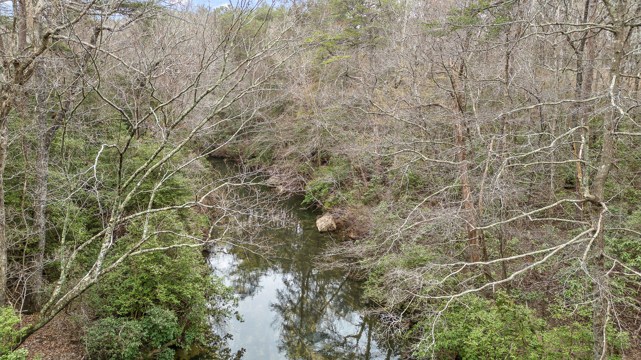 299 9006 Road, Mentone, Alabama image 3