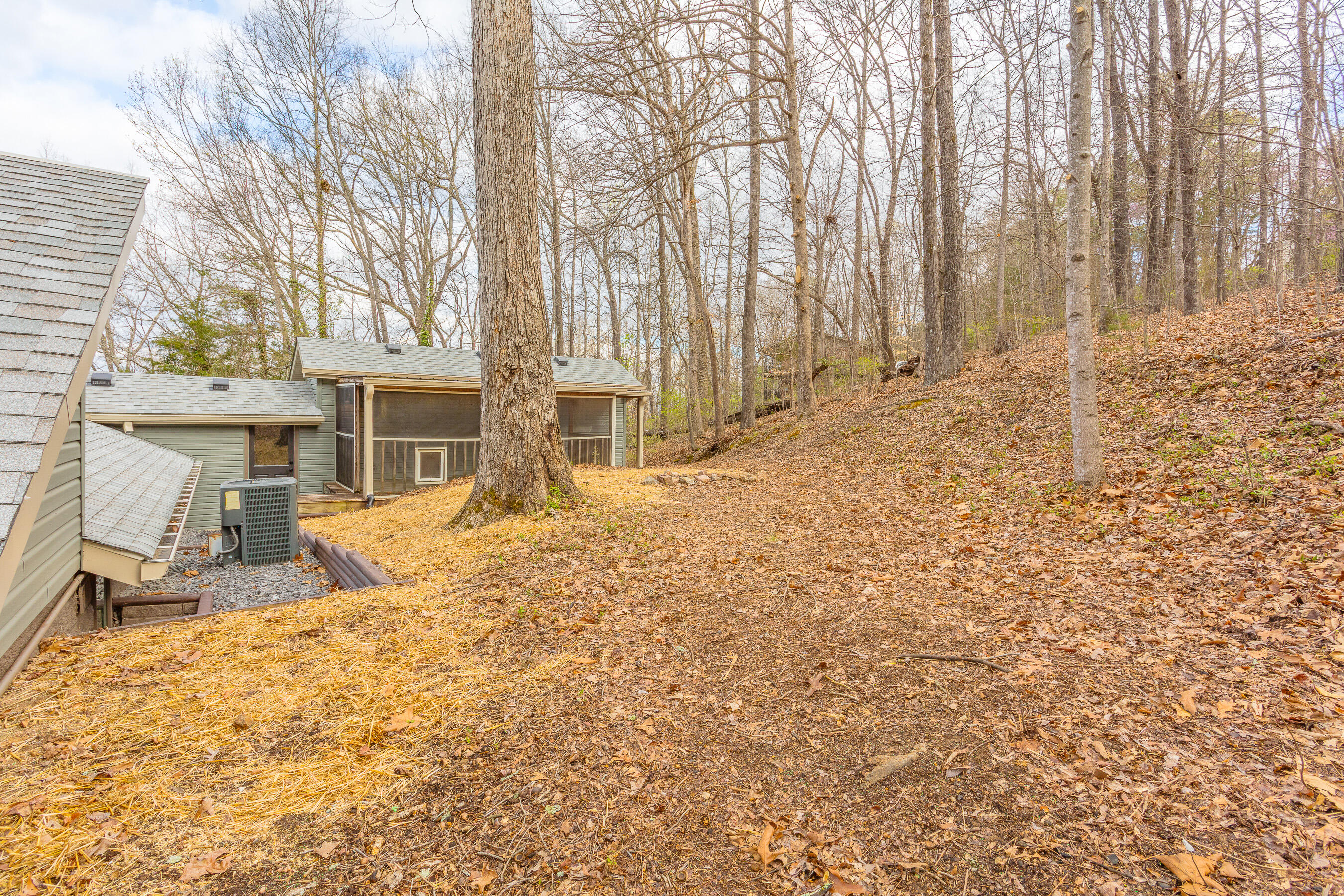 785 Ashland Terrace, Cleveland, Tennessee image 9