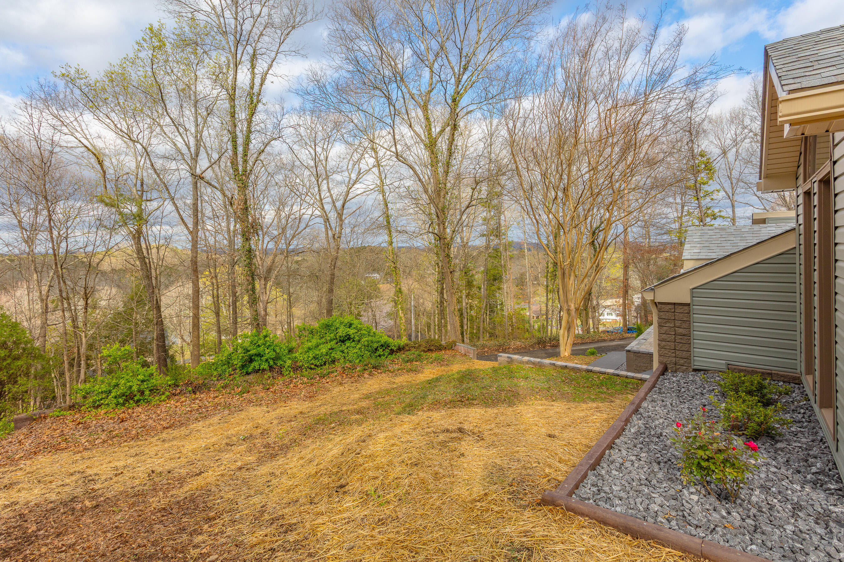 785 Ashland Terrace, Cleveland, Tennessee image 10