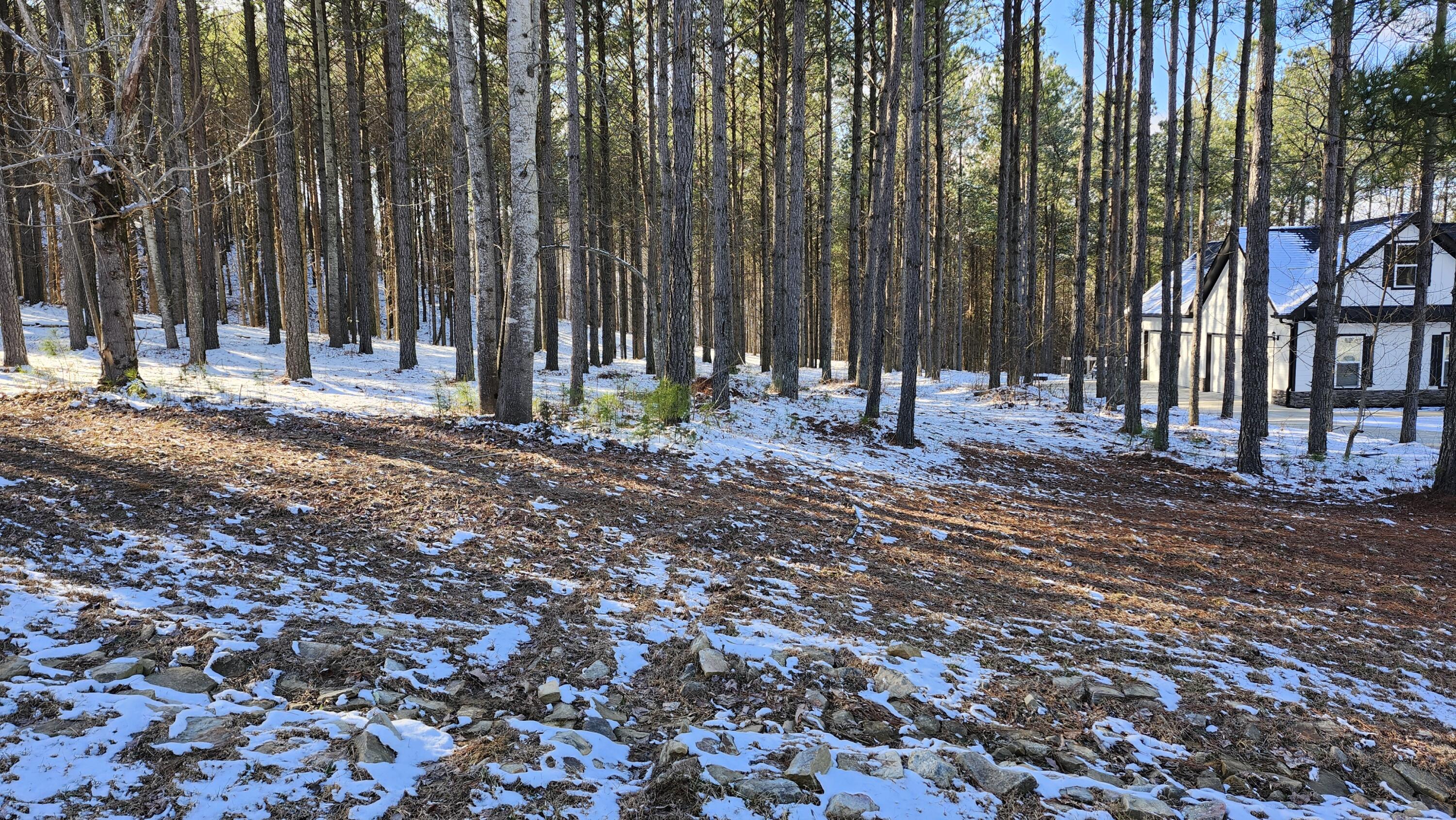 225 Compass Drive #LOT 119, Jasper, Tennessee image 3