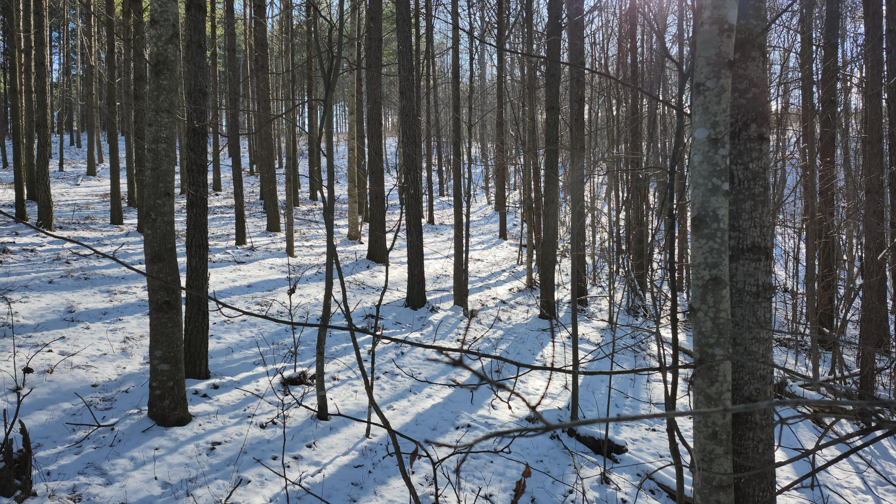 225 Compass Drive #LOT 119, Jasper, Tennessee image 4
