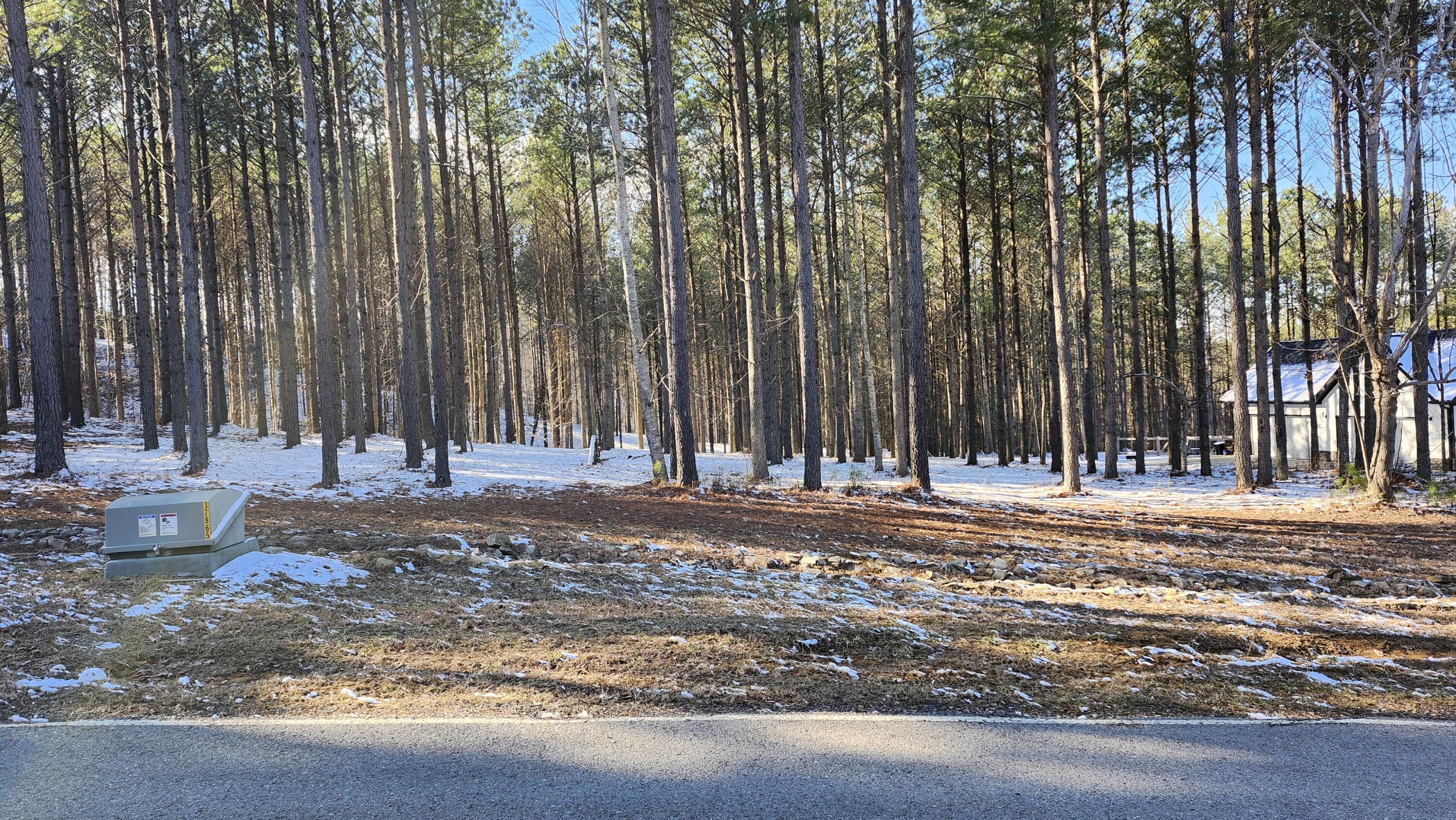 225 Compass Drive #LOT 119, Jasper, Tennessee image 2