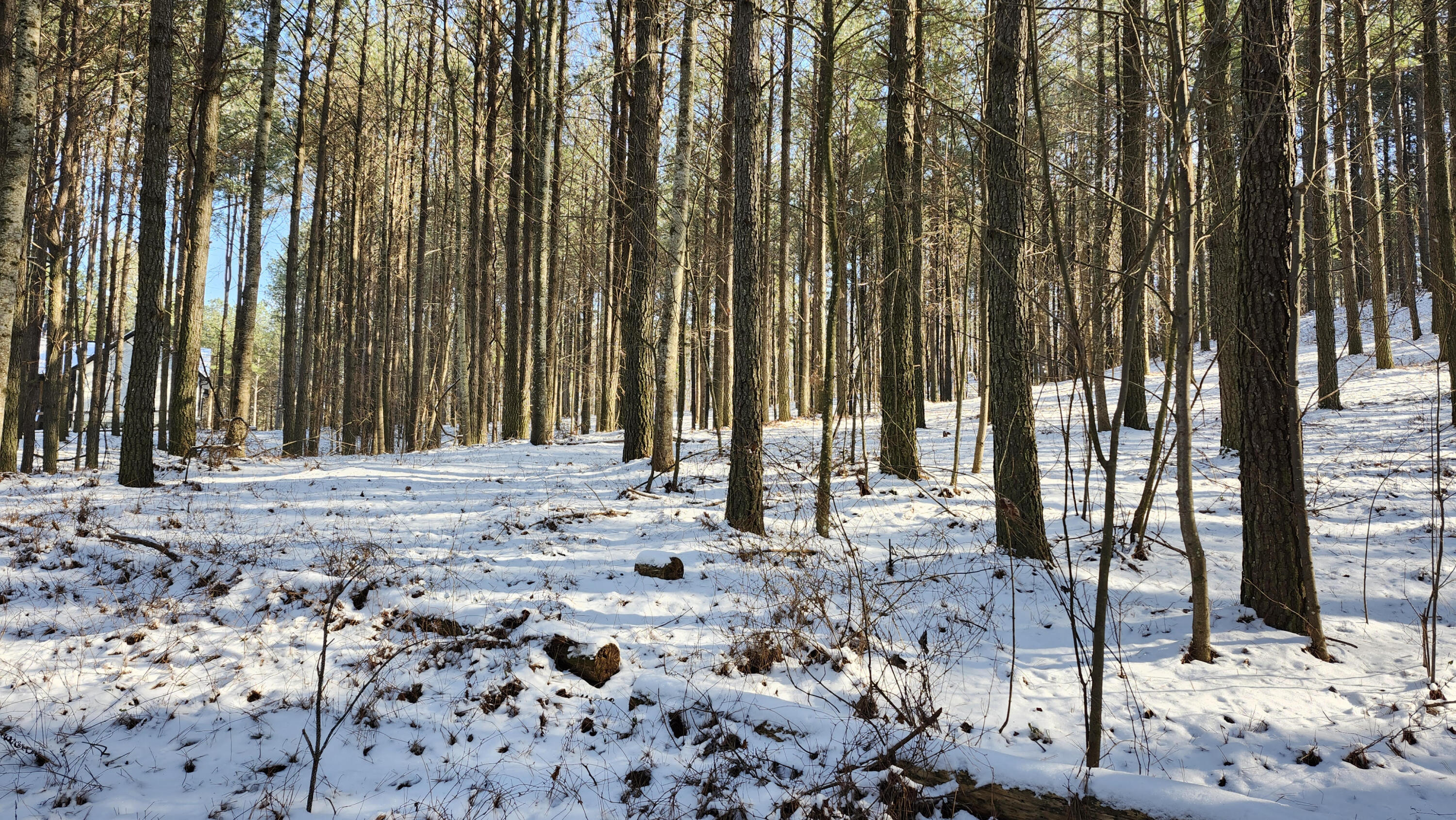 225 Compass Drive #LOT 119, Jasper, Tennessee image 6