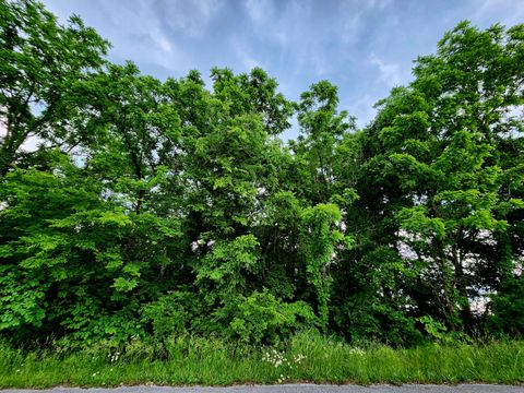 Photo of 0 Ashley Lane, Dayton, TN 37321 (MLS # 1513132)