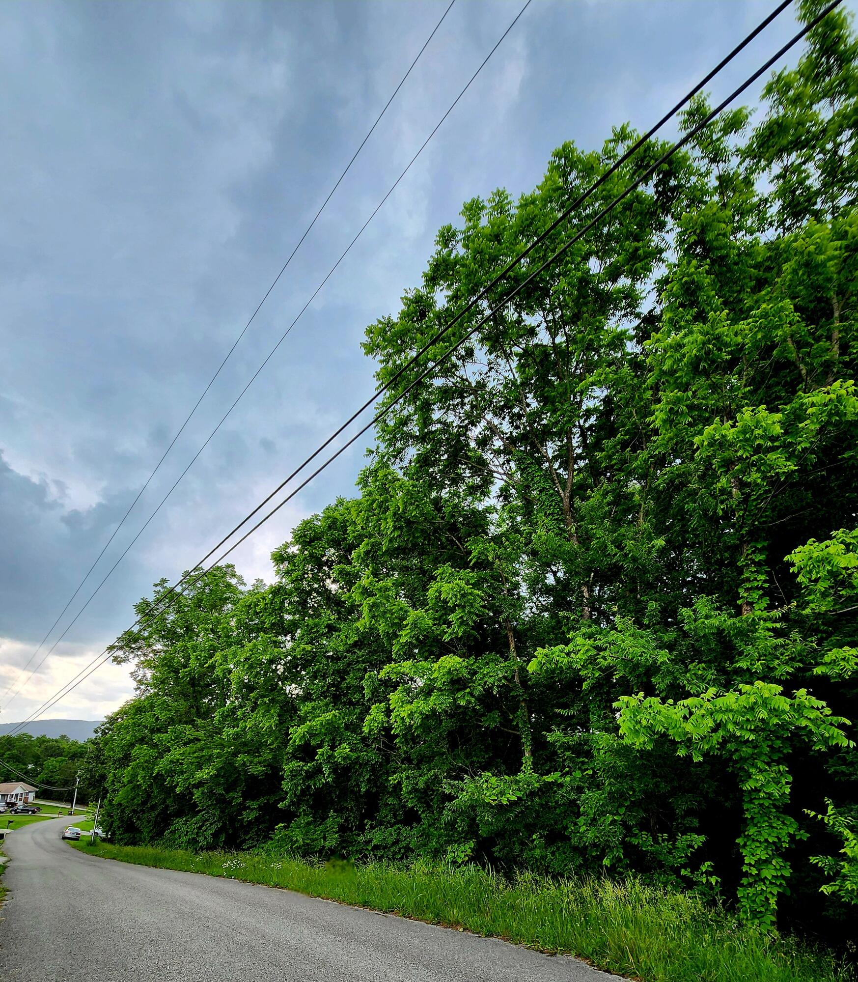 Ashley Lane #53, Dayton, Tennessee image 2