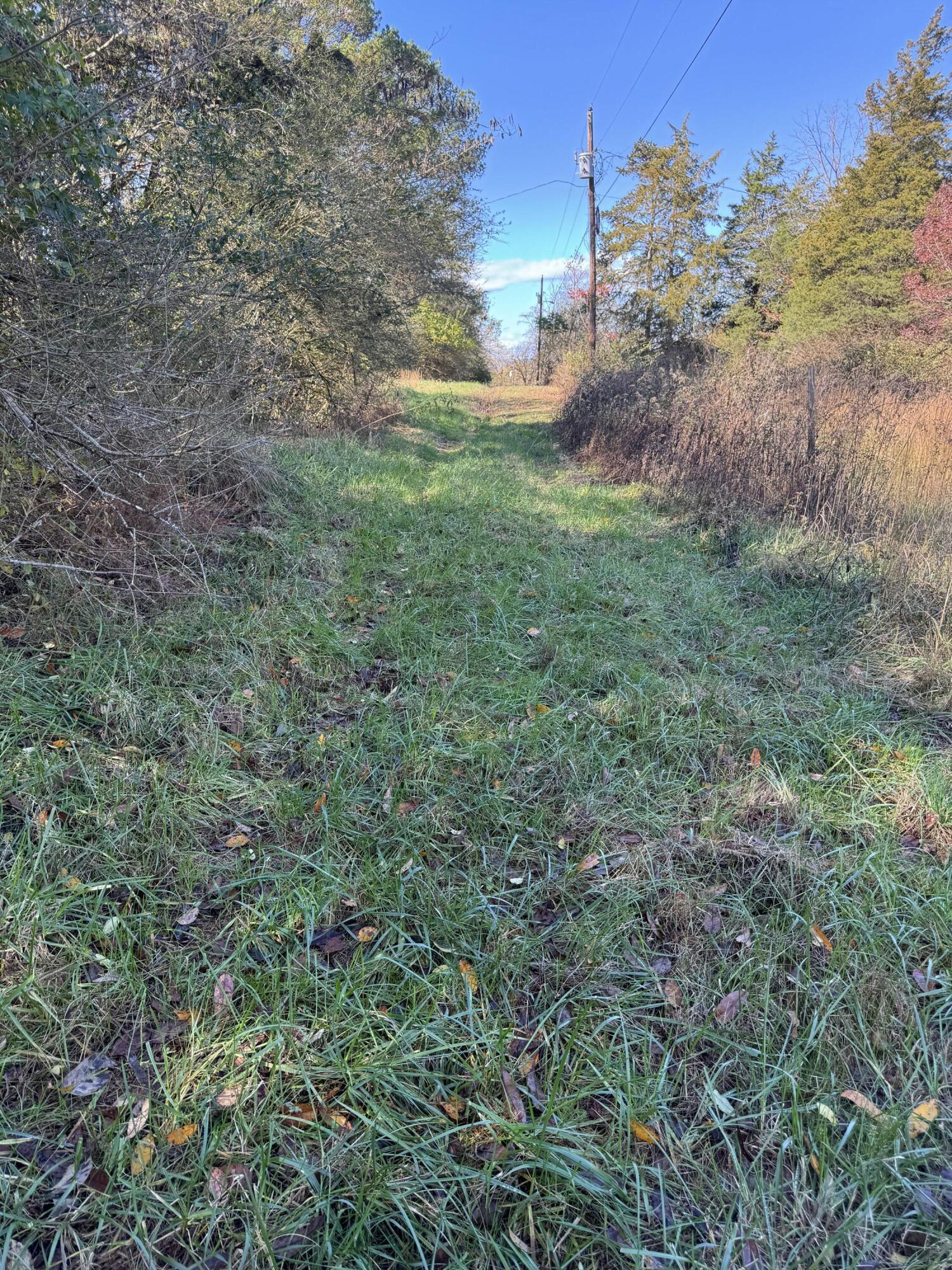 Sugar Tree Trail, Birchwood, Tennessee image 4