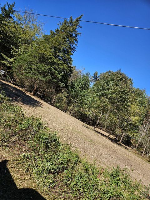 Vacant Land For Sale - Sugar Tree Trail<br/> Birchwood, TN 37308