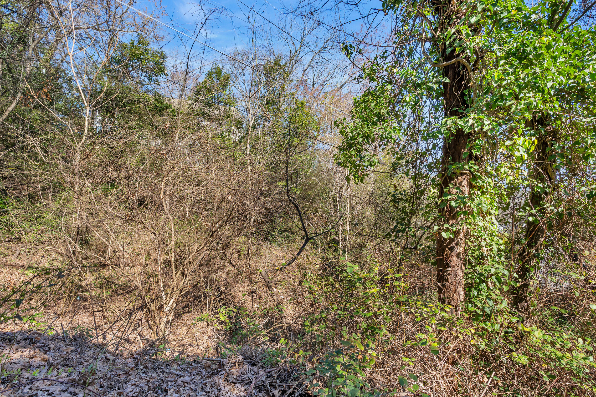 2896 Donna Lane, Chattanooga, Tennessee image 12