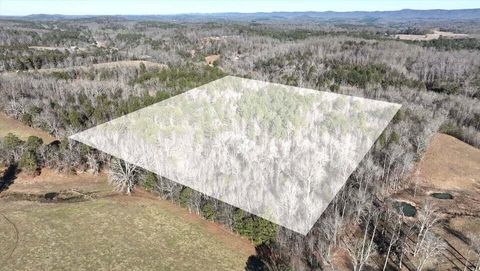 Vacant Land For Sale - Ridgeway Road<br/> Trion, GA 30753