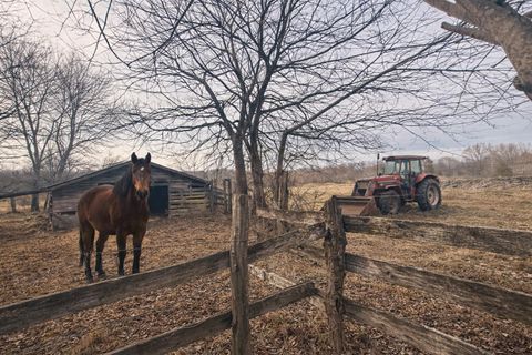 Vacant Land For Sale - County Road 800<br/> Flat Rock, AL 35966