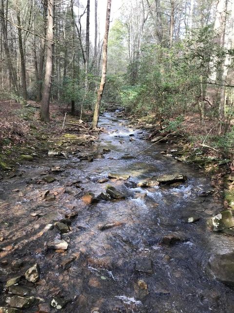 Vacant Land For Sale - 1 Hobbstown Road<br/> Dunlap, TN 37327