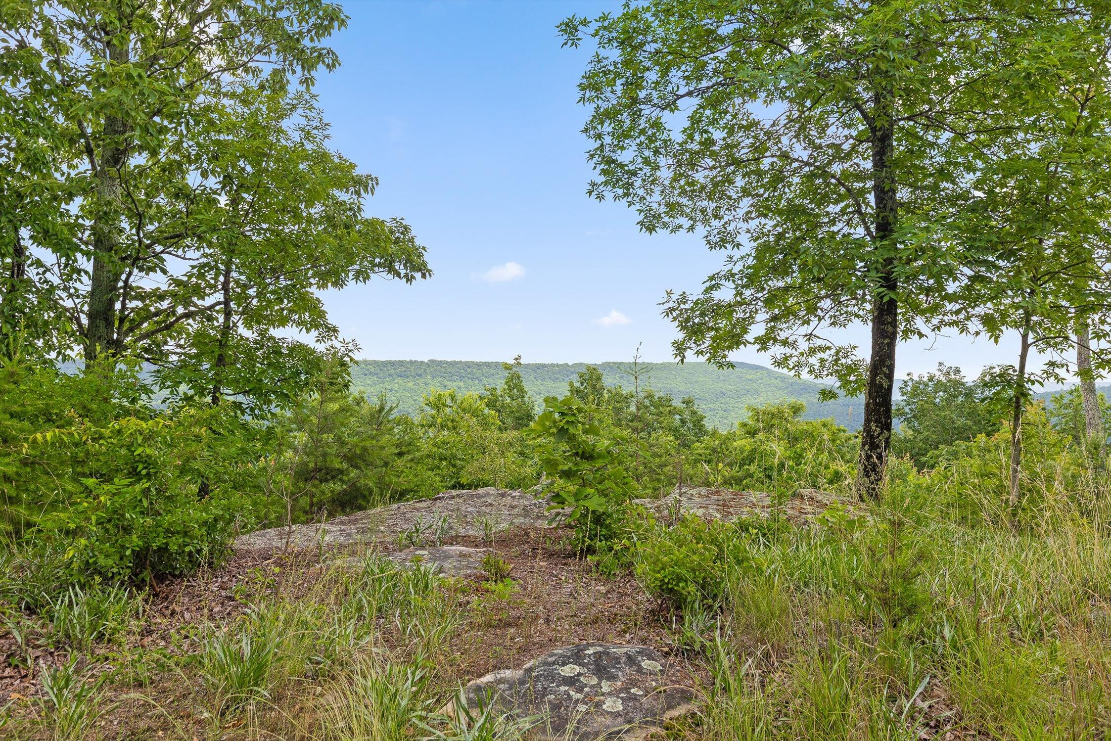 752 County Road 372, Ider, Alabama image 30