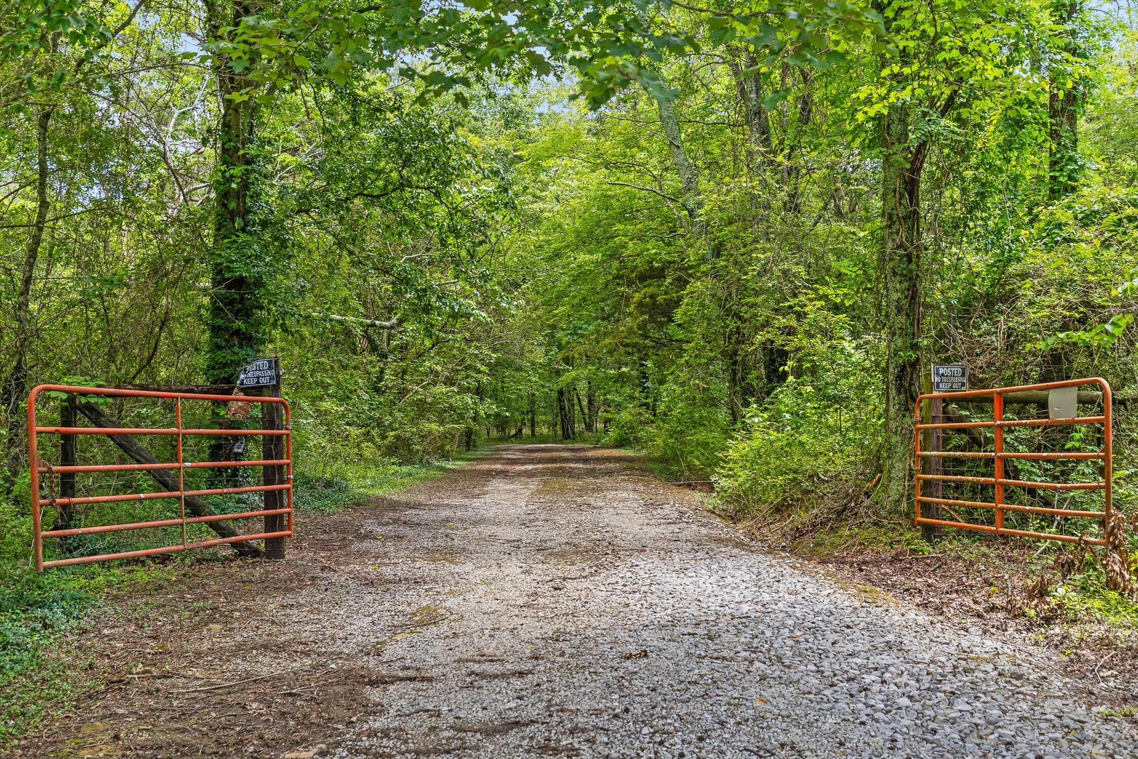 752 County Road 372, Ider, Alabama image 7