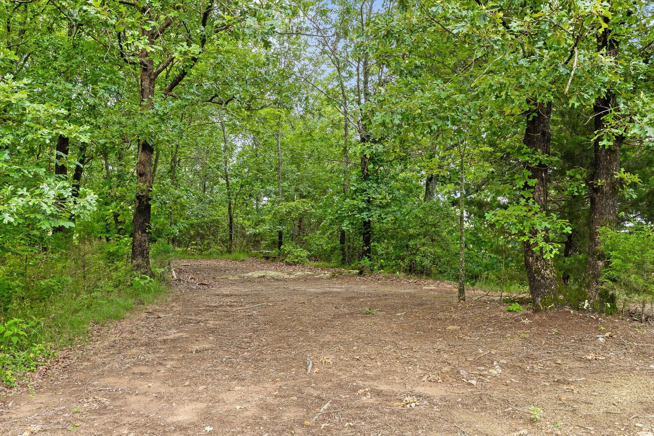 752 County Road 372, Ider, Alabama image 10