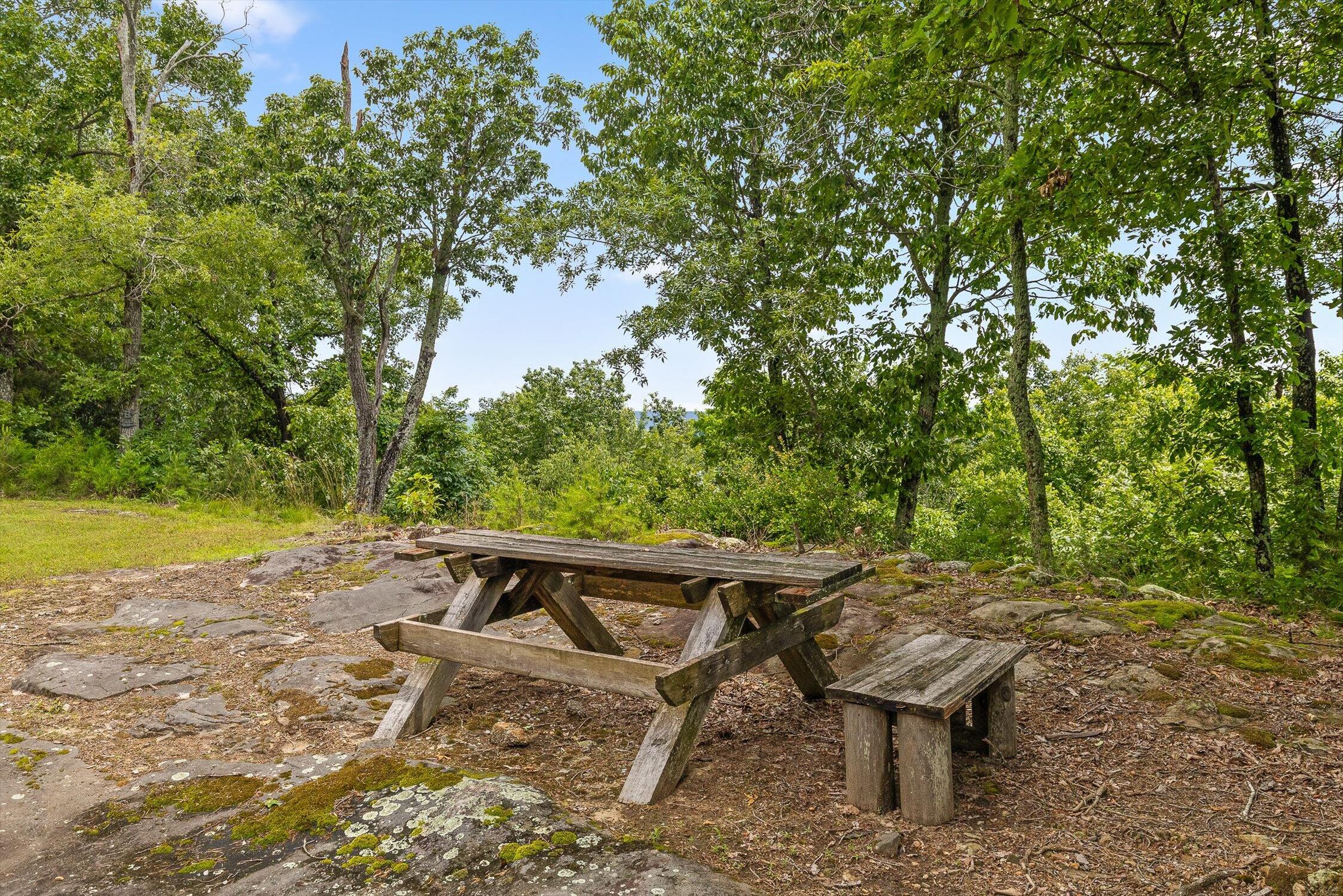 752 County Road 372, Ider, Alabama image 12