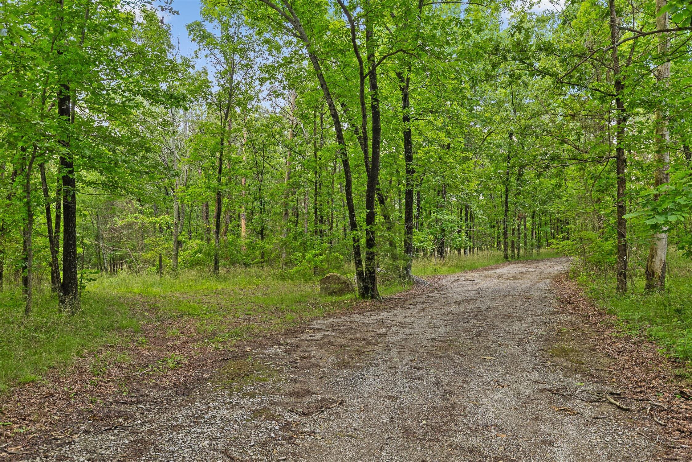 752 County Road 372, Ider, Alabama image 39