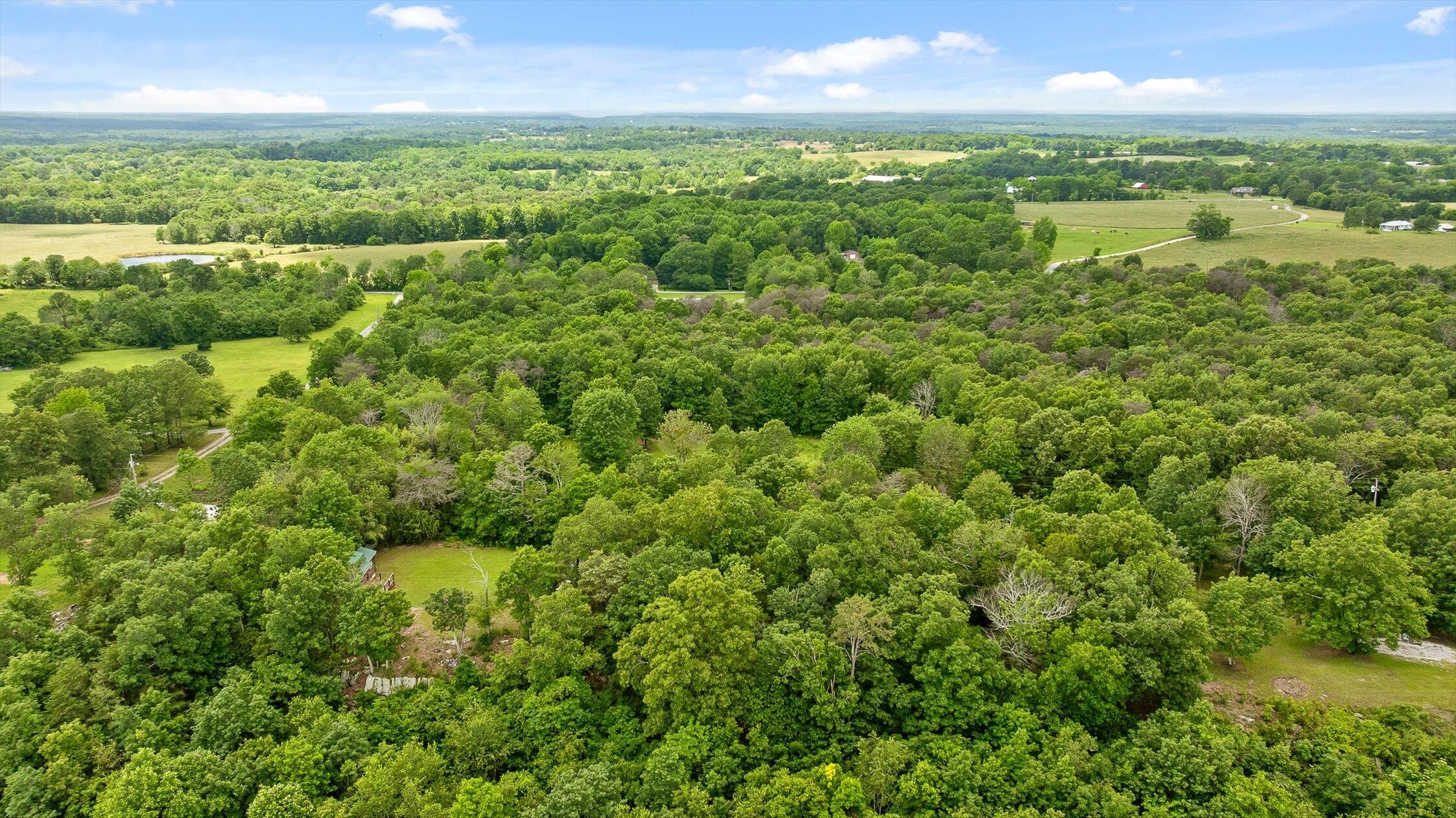 752 County Road 372, Ider, Alabama image 45