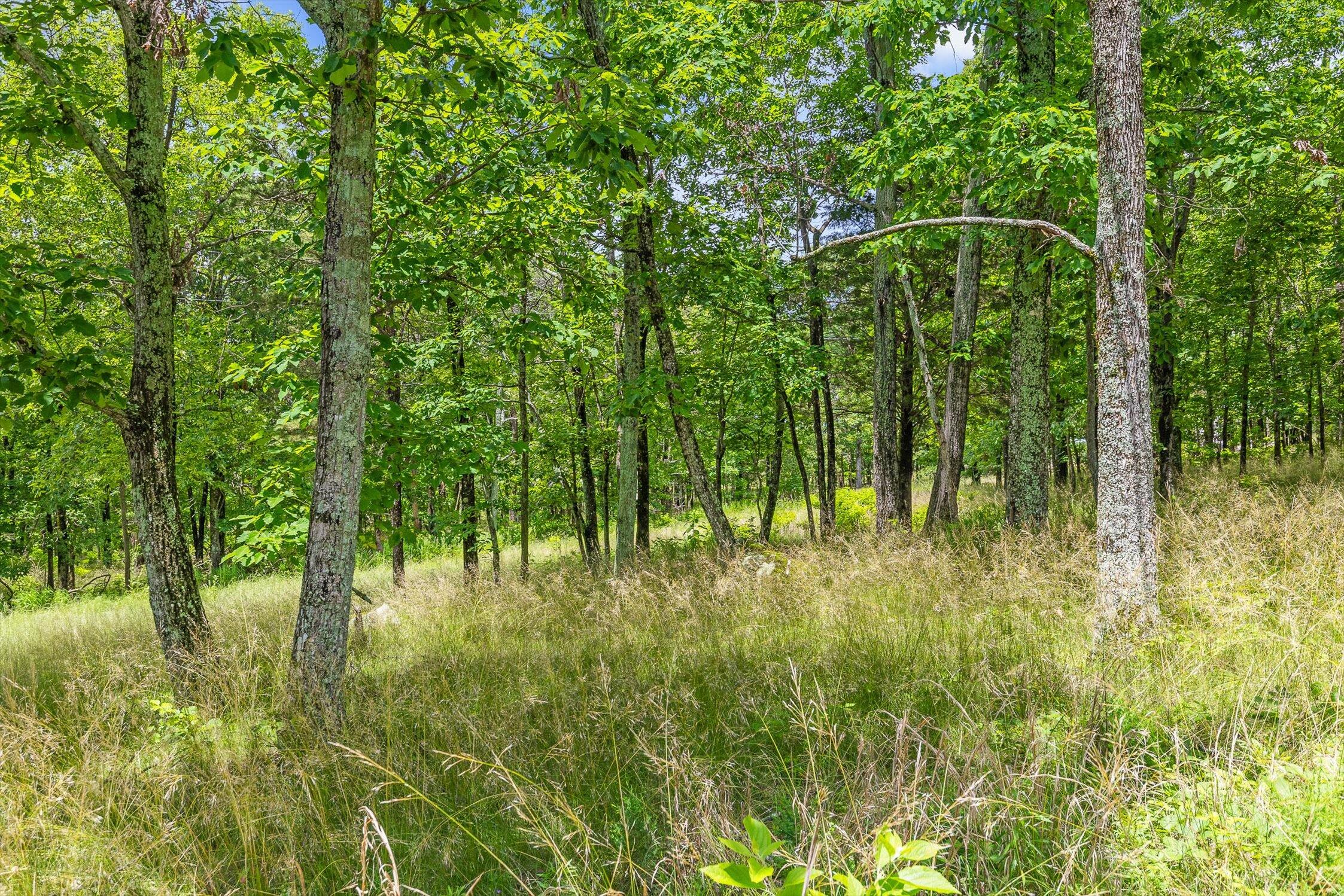 752 County Road 372, Ider, Alabama image 34