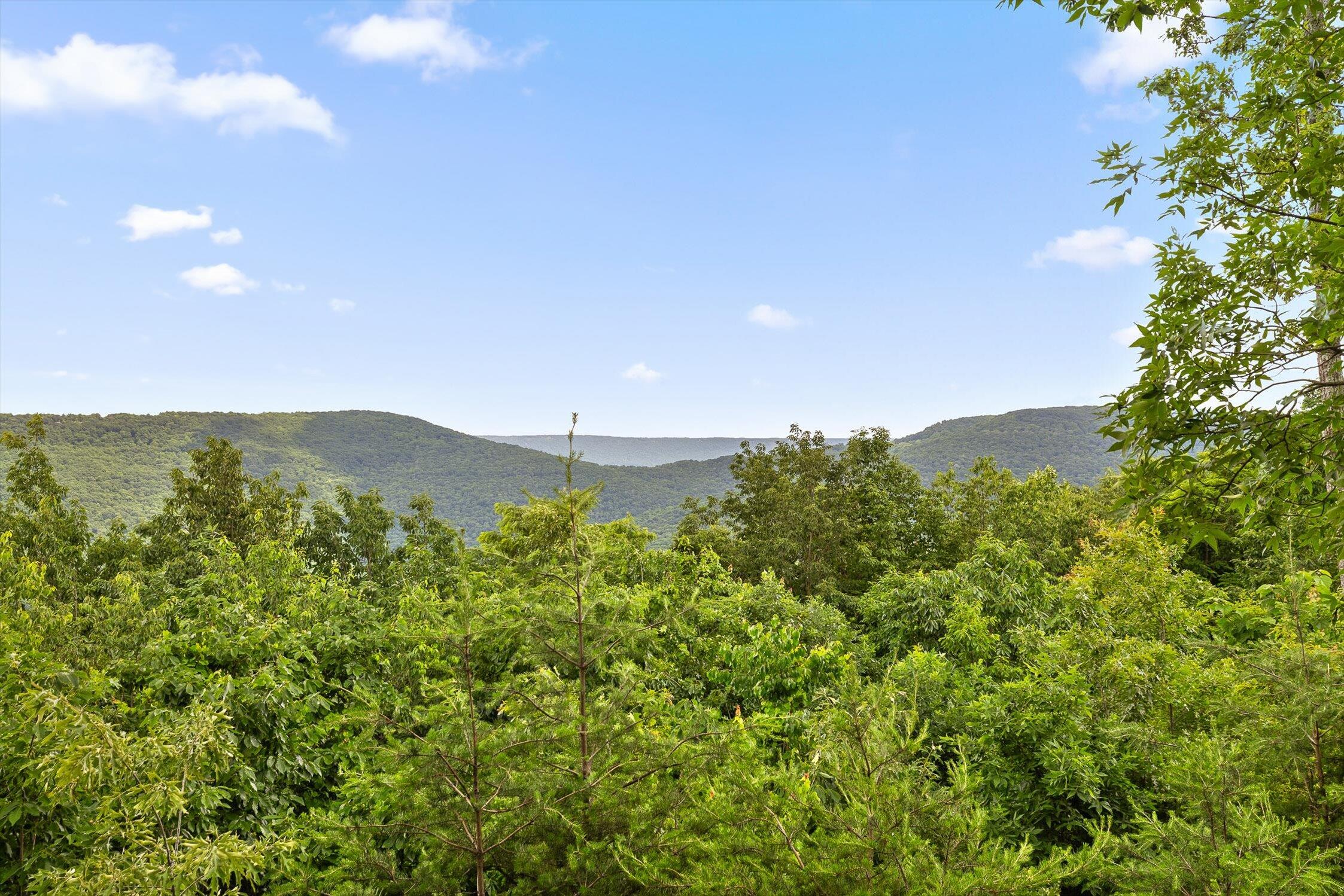 752 County Road 372, Ider, Alabama image 33