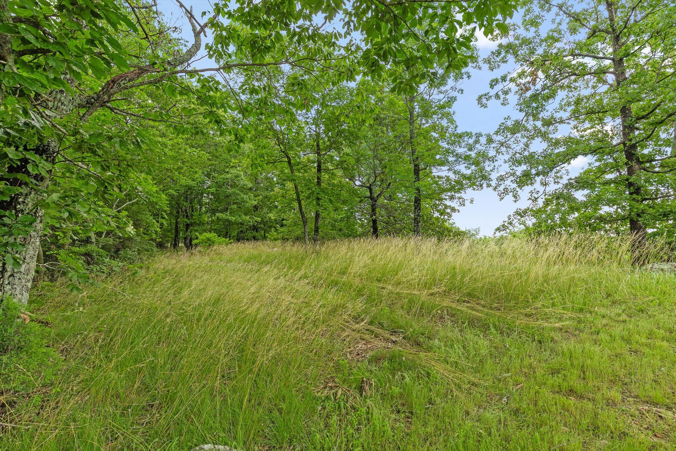 752 County Road 372, Ider, Alabama image 31