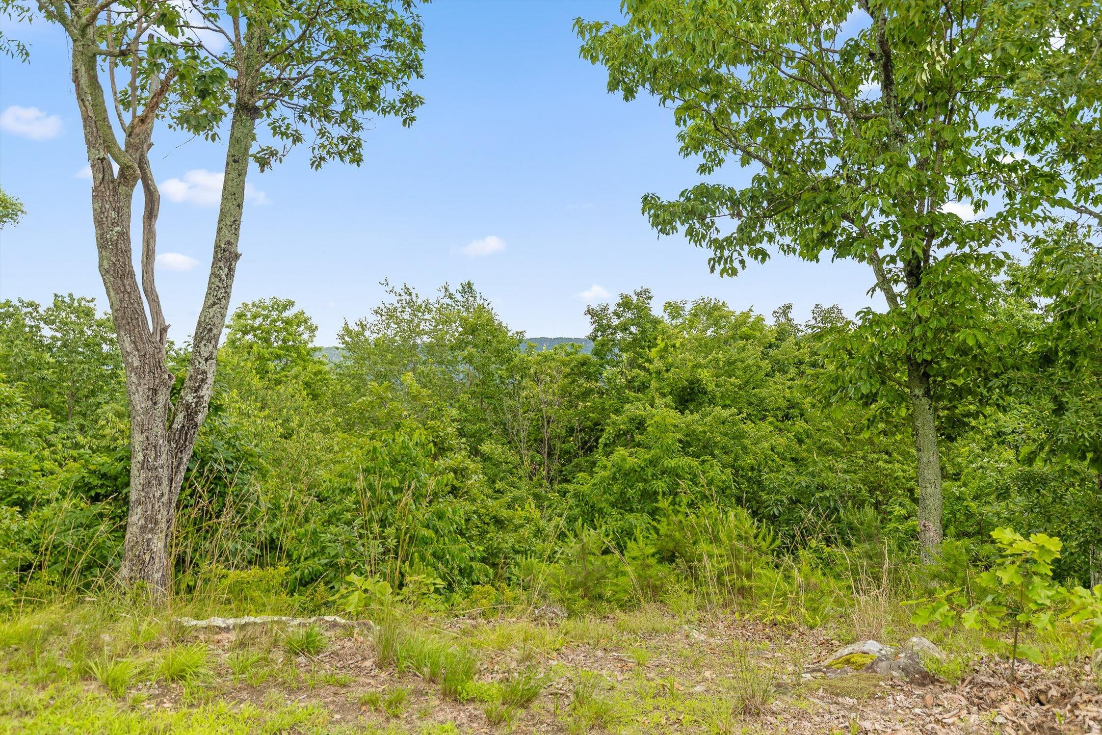 752 County Road 372, Ider, Alabama image 25