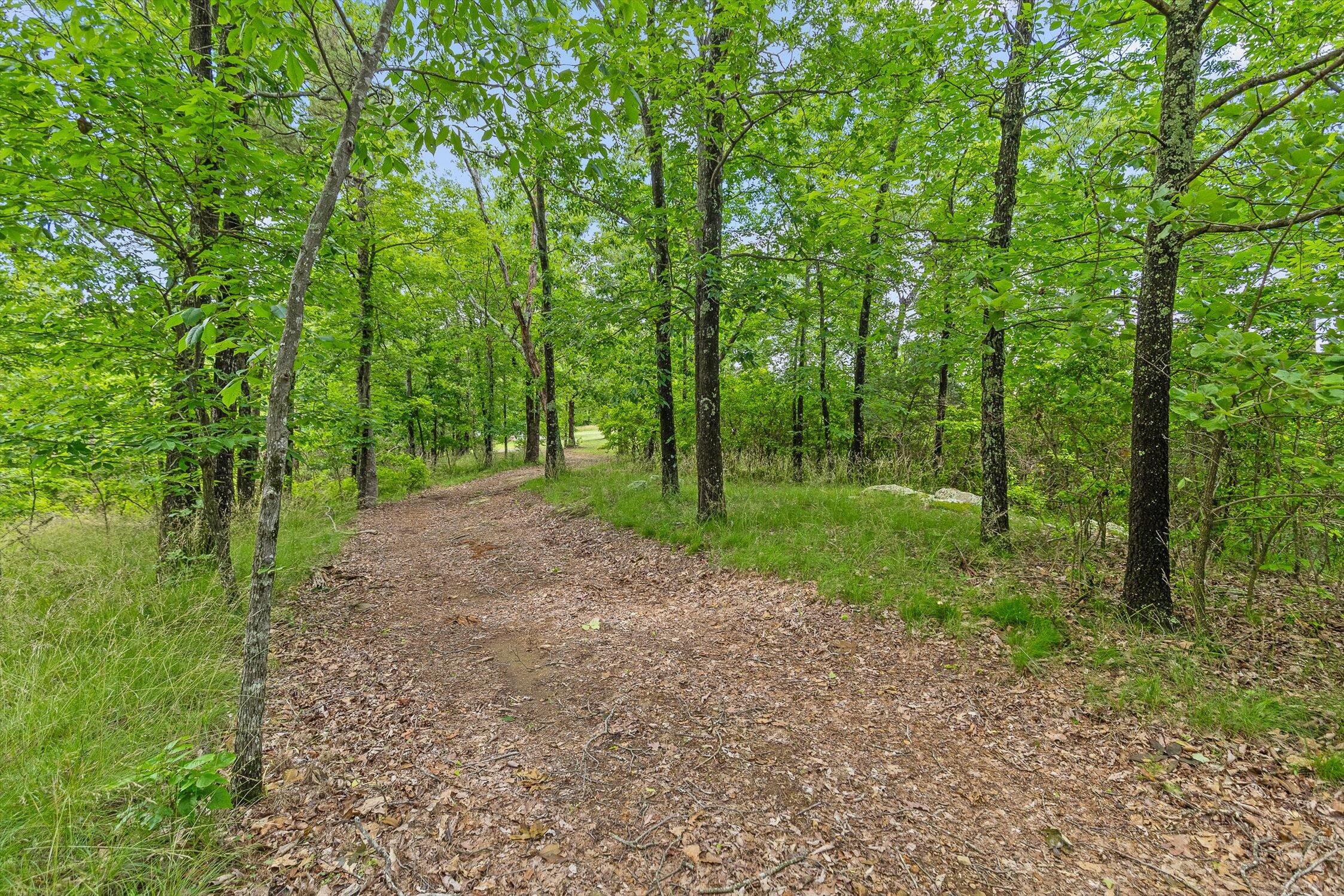 752 County Road 372, Ider, Alabama image 26