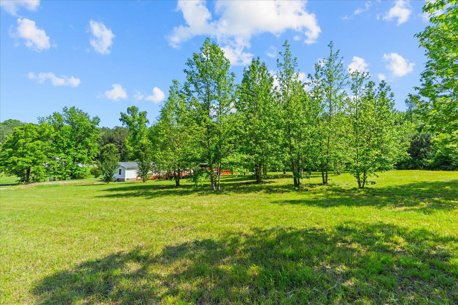 138 Hinton Lane, Ringgold, Georgia image 48