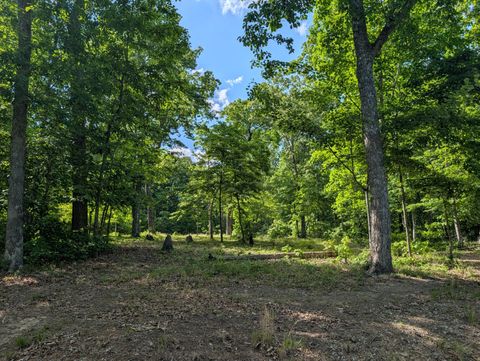 Photo of Lot 94/95 Red Oak Lane, Spring City, TN 37381 (MLS # 1535152)