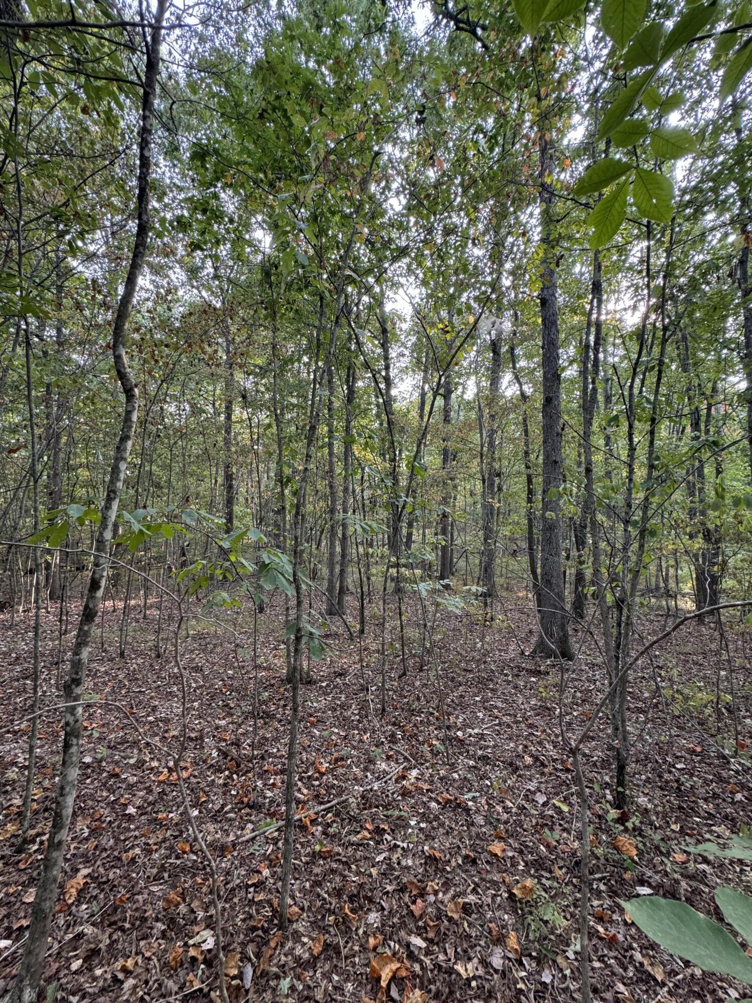 Lot 141 Camp Creek Circle, Spencer, Tennessee image 6