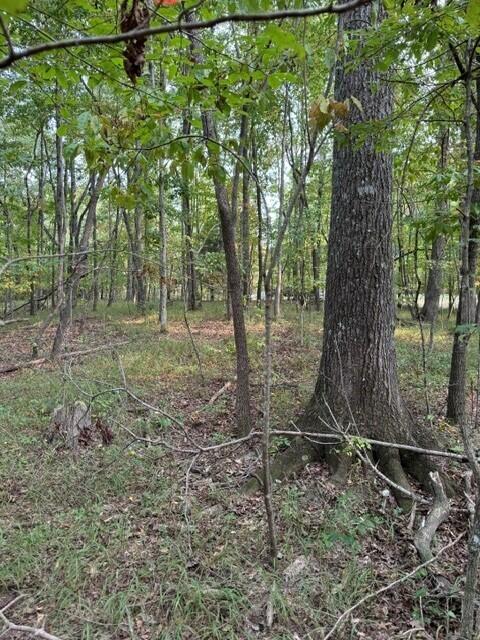 Lot 141 Camp Creek Circle, Spencer, Tennessee image 12