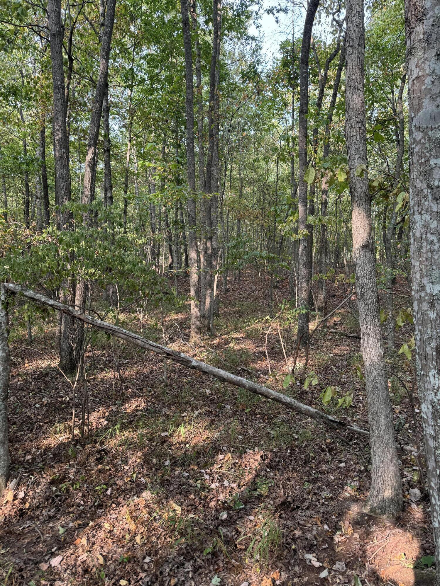 Lot 141 Camp Creek Circle, Spencer, Tennessee image 17