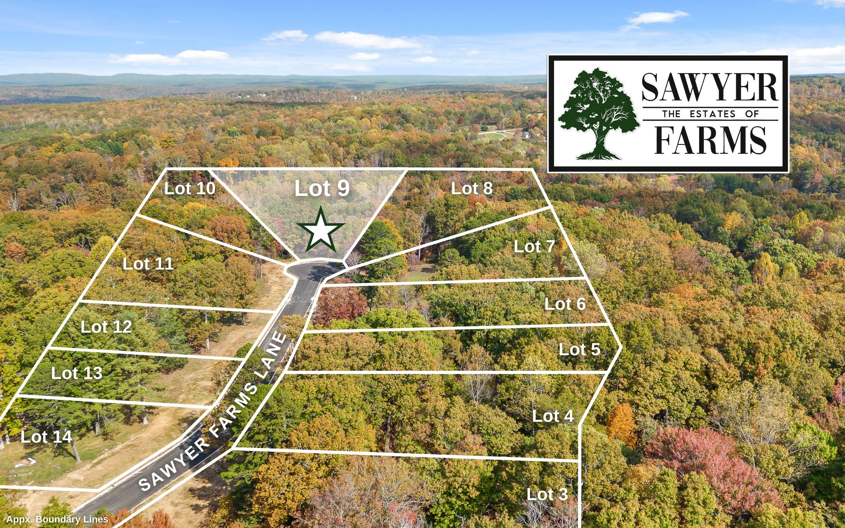 1805 Sawyer Farms Lane, Signal Mountain, Tennessee image 4