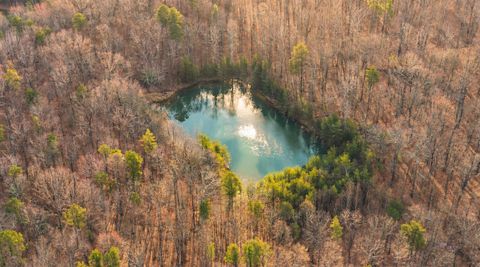 Vacant Land For Sale - Bob Cat Trail<br/> Dunlap, TN 37327