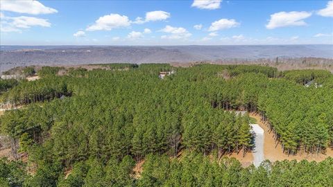 Tiny photo for 3940 Crockett Point, Jasper, TN 37347 (MLS # 1508661)