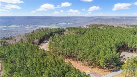 Tiny photo for 3940 Crockett Point, Jasper, TN 37347 (MLS # 1508661)