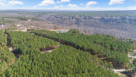 Tiny photo for 3940 Crockett Point, Jasper, TN 37347 (MLS # 1508661)