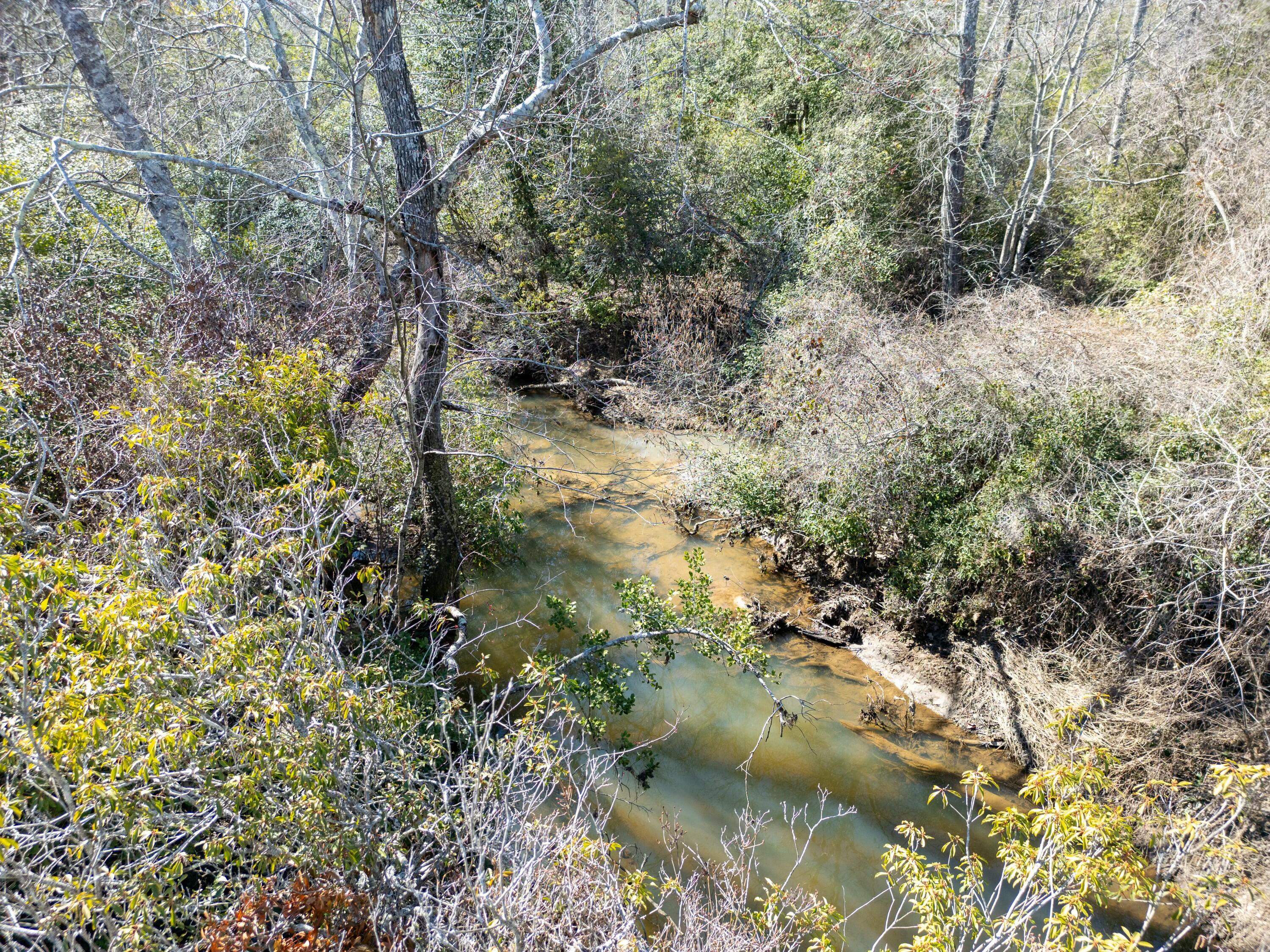 233a County Road 326, Flat Rock, Alabama image 35