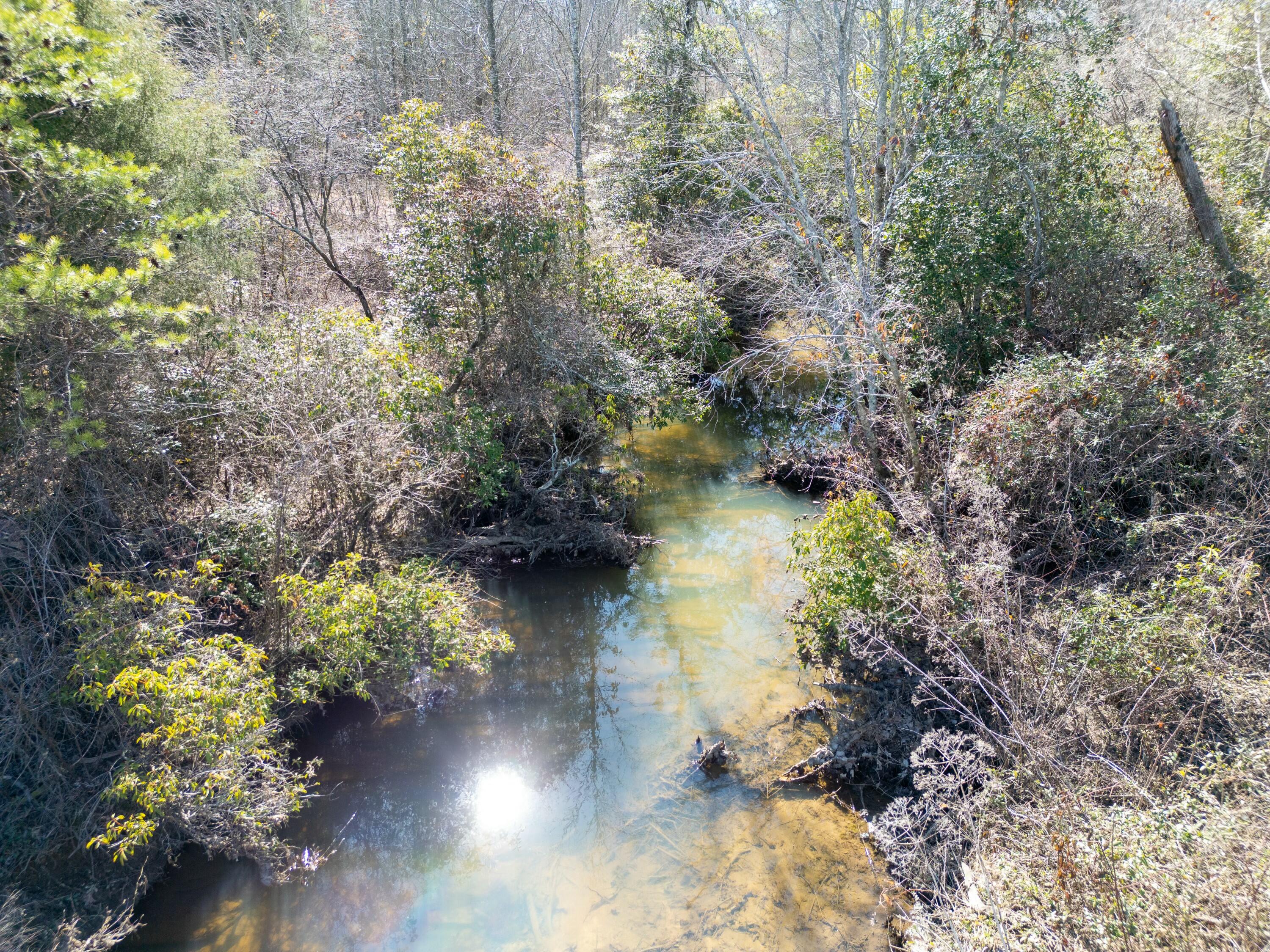 233a County Road 326, Flat Rock, Alabama image 5