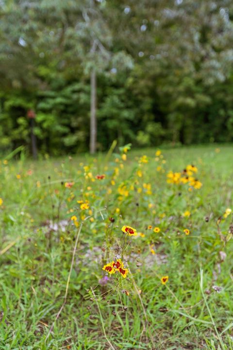 Tiny photo for 8834 Gann Road, Soddy Daisy, TN 37379 (MLS # 1518184)