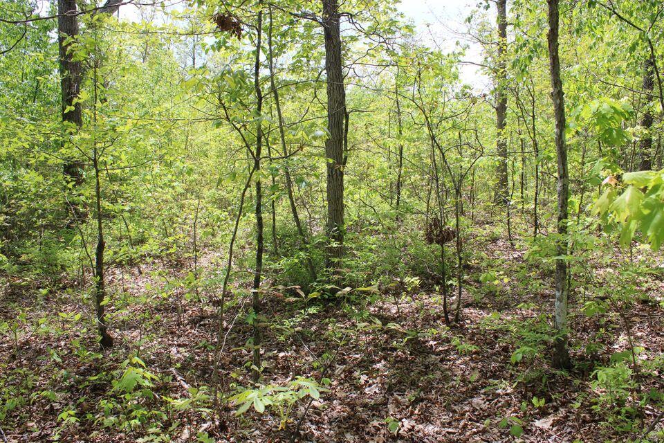 Poplar Road #42, Pikeville, Tennessee image 10