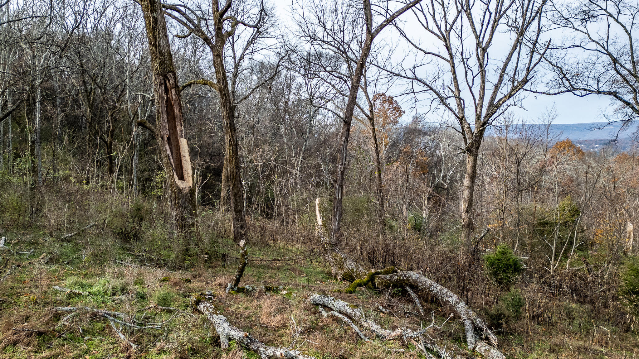 6499 Fairview Road, Hixson, Tennessee image 6