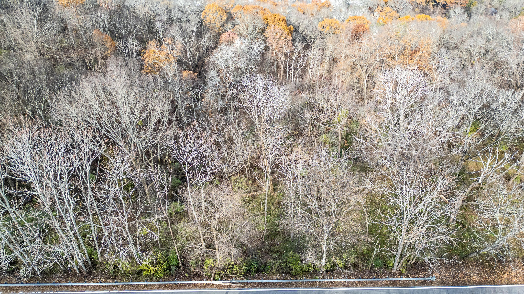 6499 Fairview Road, Hixson, Tennessee image 1