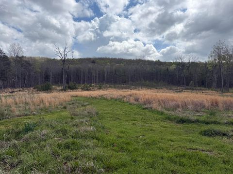 Photo of 5 Acres Calico Road, Decatur, TN 37322 (MLS # 1531983)