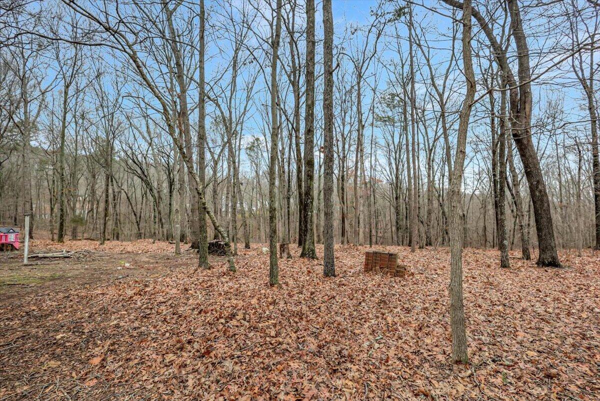 1227 Arabian Drive, Dalton, Georgia image 38