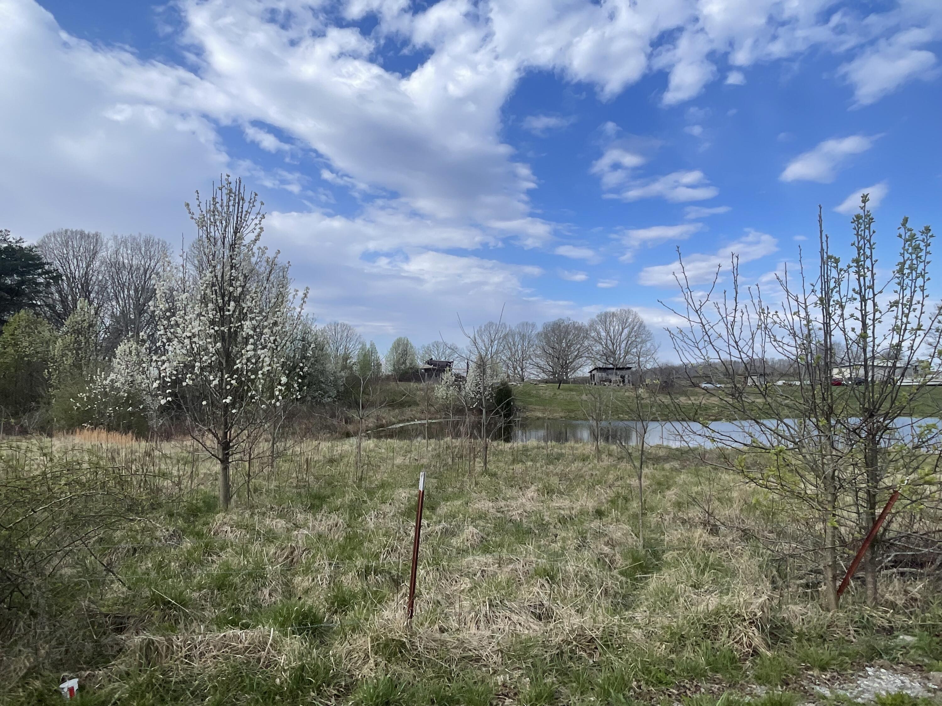02 Watson Loop, Pikeville, Tennessee image 1