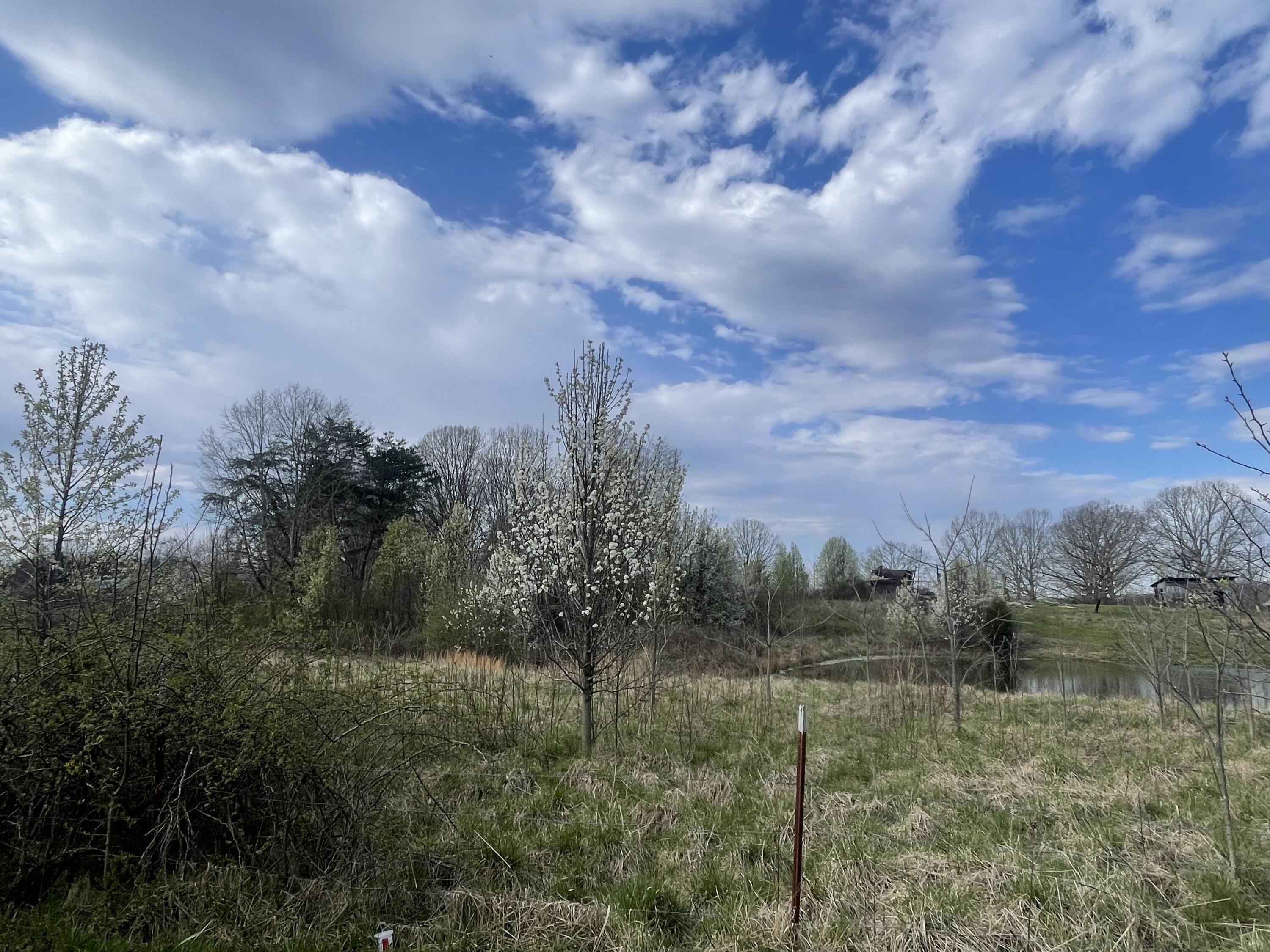 02 Watson Loop, Pikeville, Tennessee image 4